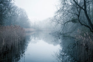 Foggy spring morning Foggy spring morning